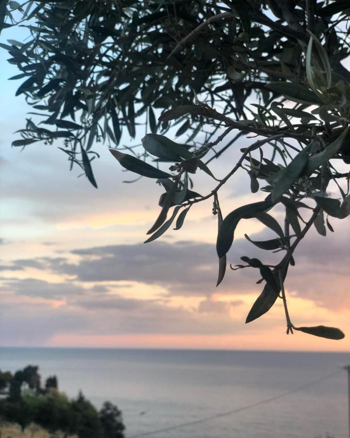 Hotel Senator Ulcinj Buitenkant foto